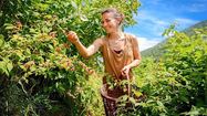 COUP DE CHAPEAU – L’Occitanie championne d’Europe du bio